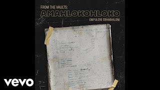 Amahlokohloko - Emfuleni Ebhabhiloni