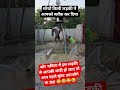#radhe radhe 🙏 ❤️ jai shree krishna 🙏 #shorts #viralvideo #comedy #vlog