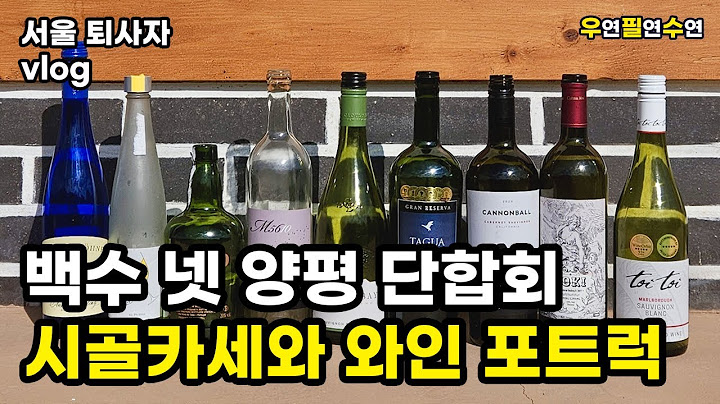 서울 퇴사자 vlog | 백수 넷 양평 단합회, 시골카세와 와인 포트럭 (부끄러움주의!!)