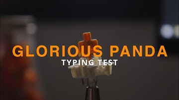 Glorious Panda Typing Test