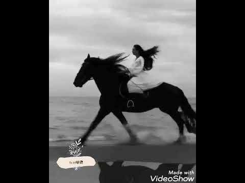 تصميم نور ابرقي يامزونه