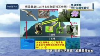 世界自然遺産へ　小笠原諸島で新種のアリを発見