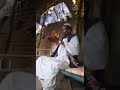 راعي سوداني ظريف