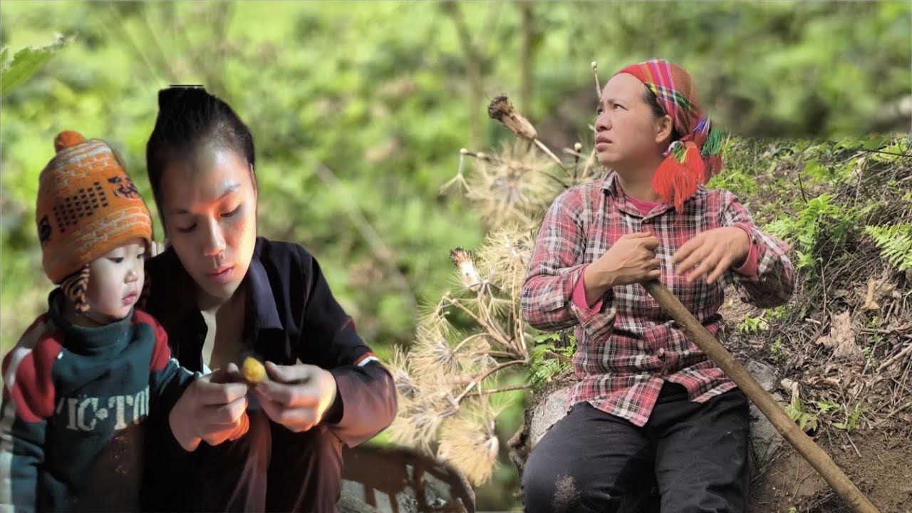 single mother: goes into the forest to dig cassava and yam to raise 3 ...