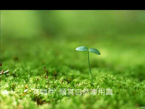 靈歌影片35~心碎伴相思