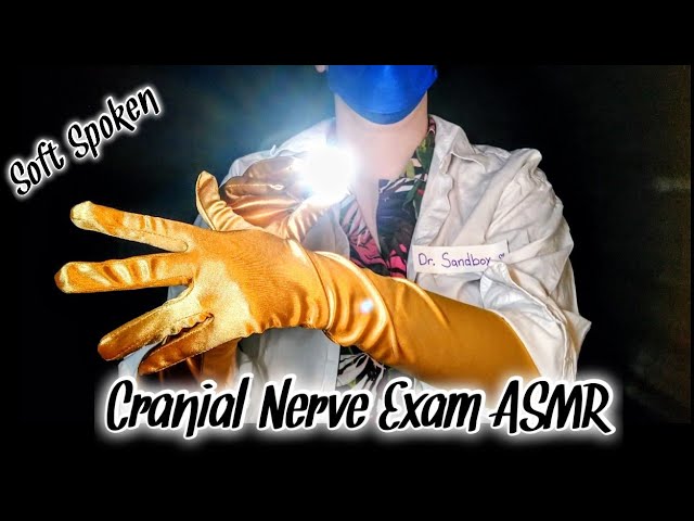 Dr Sandbox 👩🏼‍⚕️ Cranial Nerve Exam ASMR 🧤 Soft Speaking 🤫