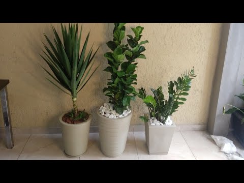 COMO MONTAR VASOS DE PLANTAS PARA DECORAÇÃO - thptnganamst.edu.vn