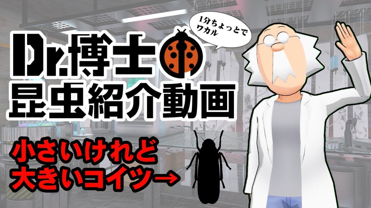 博士レポ 1 天才科学者dr 博士現る Youtube 博士レポ 1 天才科学者dr 博士現る Youtube