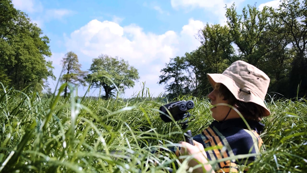 ASMR exploring the forest (calm river sounds)