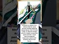 STRAWBERRY: Vice Admiral di Balik Buster Call Enies Lobby! 😱 | #onepiece