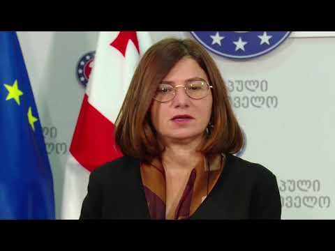 ივანიშვილის სახლში წასვლა  ვერ შეჩერდება - ირმა ნადირაშვილი