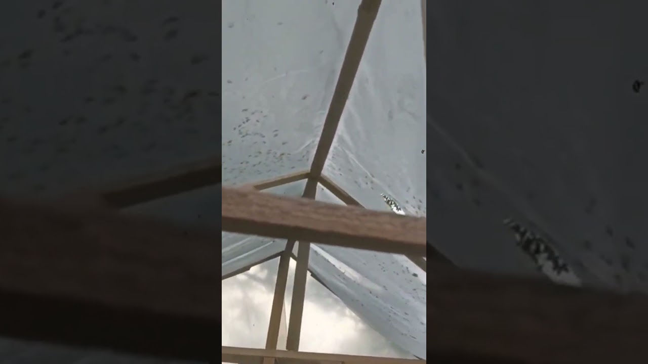 Cum sa faci un SOLAR simplu si usor in GRADINA?!