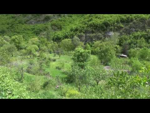 სუიციდის შემთხვევა სოფელ ტყვიავში 13.06.2017