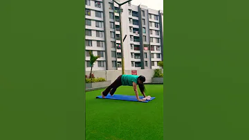 Plank Aasan Holding Power Yoga Exercises For Belly Fat Loss Yoga Exercises For Weight Fat Loss Yoga 