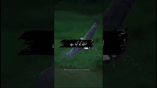 Sawab Ki Dua | Maulana Usama Farooqi Sahib | Urdu Bayan