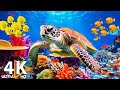 Ocean 4K - Beautiful Coral Reef Fish in Aquarium, Sea Animals for Relaxation (4K Video Ultra HD) #18