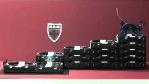 TERMES Project: A Narrated Overview for General Audiences