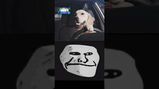 Subaru car commercial troll face meme 🗿 | #shorts