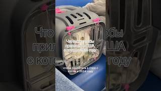 Перелет с котом в США