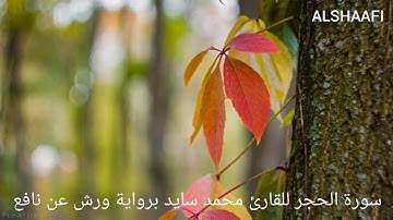 محمد سايد - سورة الحجر |015| MOHAMED SAYED - SURAT AL HIJR