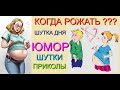 ПРИКОЛ ДНЯ & КОГДА РОЖАТЬ??? /// ЛУЧШИЕ ПРИКОЛЫ НА EGOROVTUBE [С УЧАСТИЕМ А.ЕГОРОВА] #ПРИКОЛЫ #ЮМОР