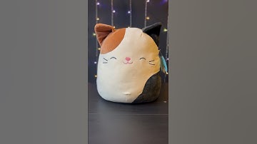 I want my own CAT SQUISHMALLOW planet! #squishmallows #shorts