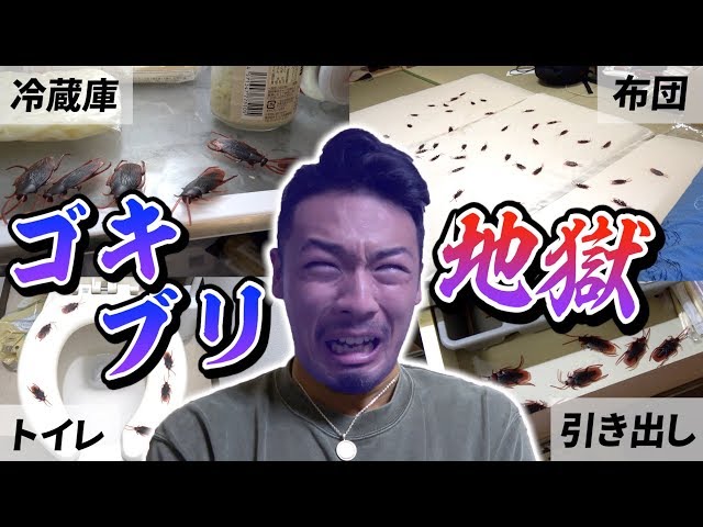 虫嫌いにゴキブリドッキリ
