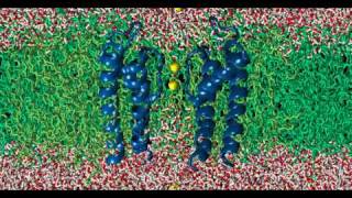 Ion current through potassium KcsA ion channel