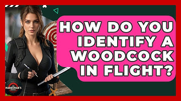 How Do You Identify A Woodcock In Flight? - The Marksman