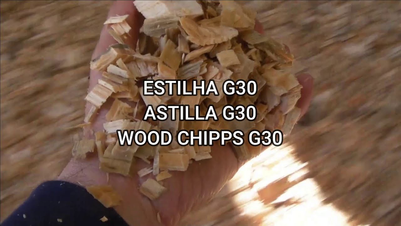 DEBARK AND CHIPPING LINE; LÍNEA DE DESCORTEZADO Y ASTILLADO; DRUM CHIPPER; DRUM DEBARKER