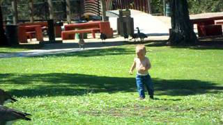 Chasing Geese With Auntie Dani