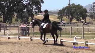 122D Suze Randall Knipe SR Novice Rider Dressage Shepherd Ranch June 2013