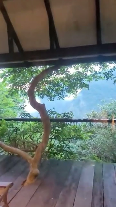 Wildernest Valley View #wildernestvalleyview