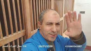 Download Lagu مارايكم في جاهزية الحمام ؟؟ النتيجة يوم السبت اجابية ام سلبية !!! اتمنى الخير ان شاء الله وشكرا  MP3