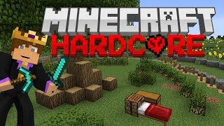 Hardcore Minecraft Survival #12 - MUCH DIAMONDS!