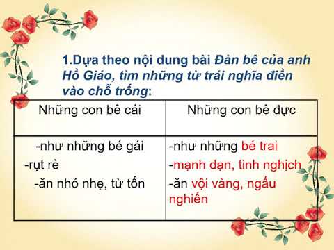 Tuan 34 Tu trai nghia MRVT Tu ngu chi nghe nghiep