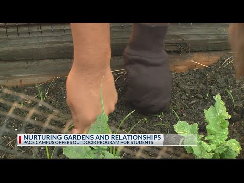 Longview's PACE alternative school seeks to nurture students through gardening