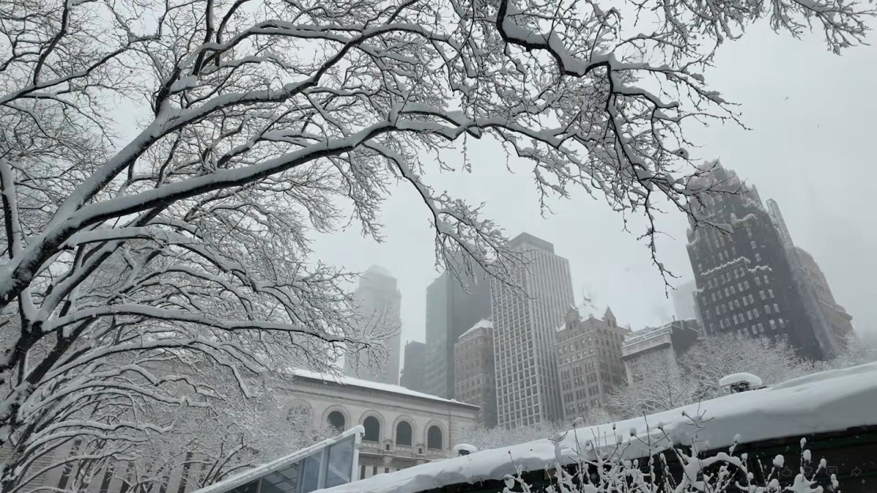 NYC Before & After the Blizzard 🇺🇸