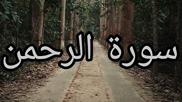 سورة الرحمن تلاوة لكل من أحزنت قلبه|املأ قلبك طمأنينة ورحة♡♡♡