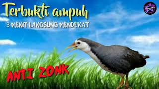 Download Lagu Powerful alluring crackling sound || proven effective 3 minutes immediately approached || anti zone.