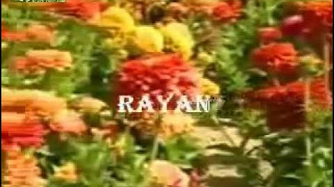 القران الكريم   جواد فروغى   سورة التكوير   81