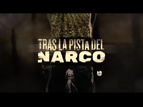 Tras la pista del narco | La serie completa