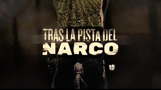 Tras la pista del narco | La serie completa