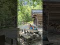 Rifugio Forestale: un'oasi di pace in Trentino