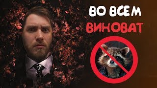 Во всем виноват енот [Что посмотреть]