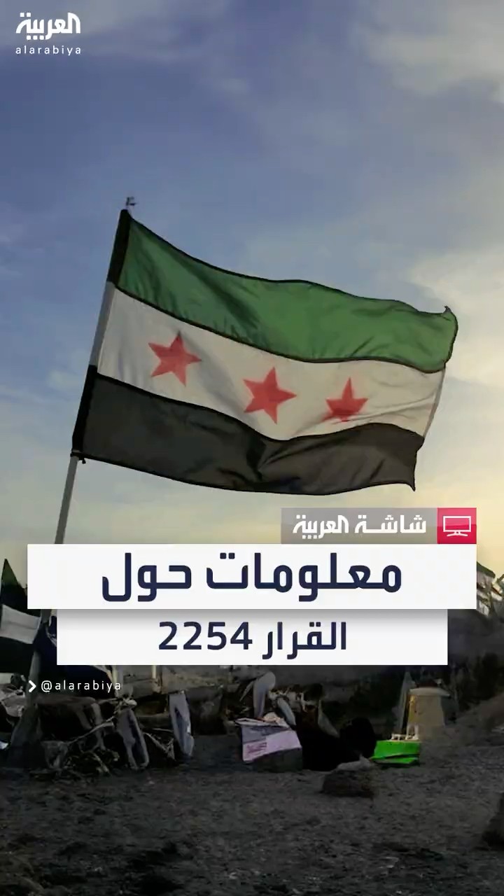 ينص على إجراء انتخابات نزيهة ودستور جديد لسوريا.. تعرف على القرار 2254 المثير للجدل