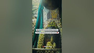 Sawan  Video 😍 Sawan 2023 Video🌹 Mahadev status ❣️ bholenath status 💫 Mahakal status #mahadev