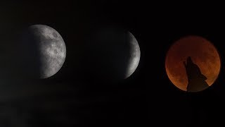 What is a Super Blood Wolf Moon? January 2019