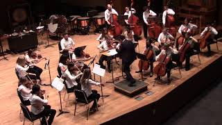 Bw Csi Strings 2019 - John Mackey - Strange Humors