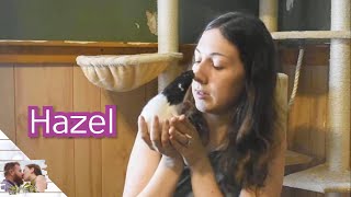 In Memory of Hazel | Our Protective Guard Rat